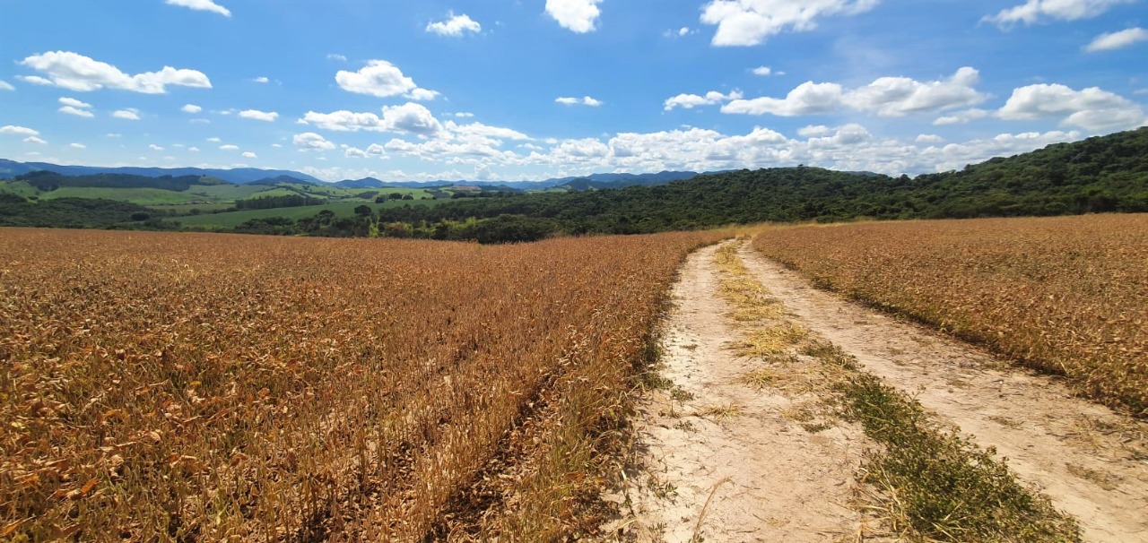 Chácara à venda com 1 quarto, 560000m² - Foto 8