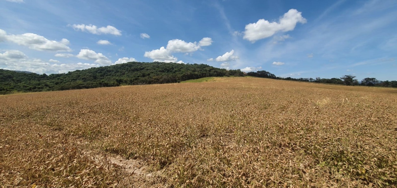 Chácara à venda com 1 quarto, 560000m² - Foto 6