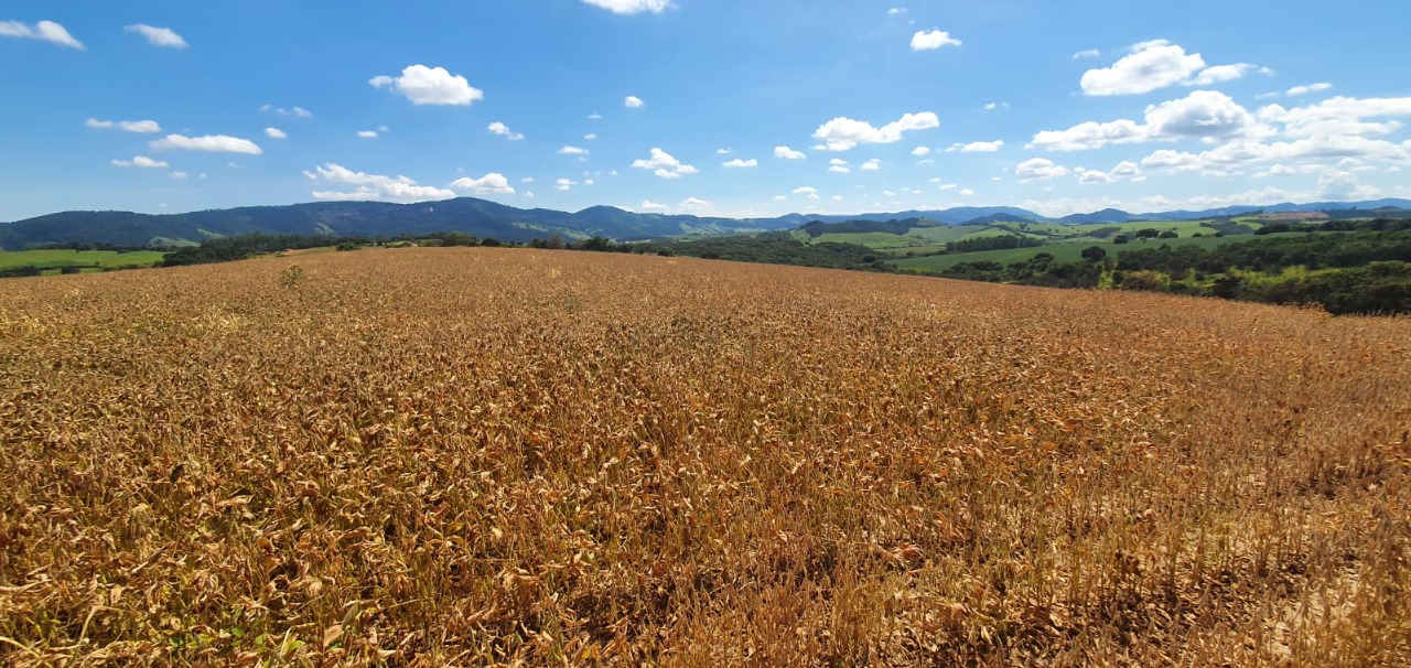 Chácara à venda com 1 quarto, 560000m² - Foto 9