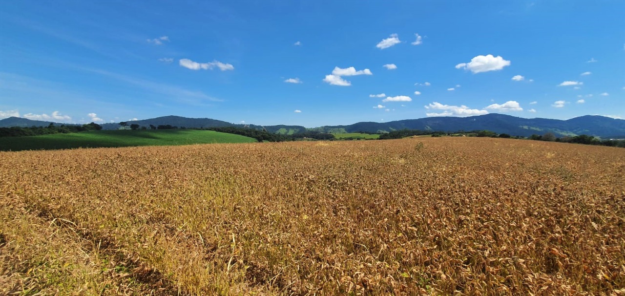 Chácara à venda com 1 quarto, 560000m² - Foto 10