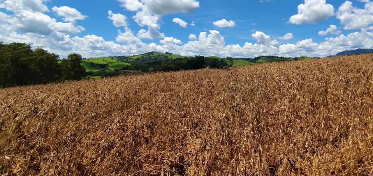 Chácara à venda com 1 quarto, 560000m² - Foto 11