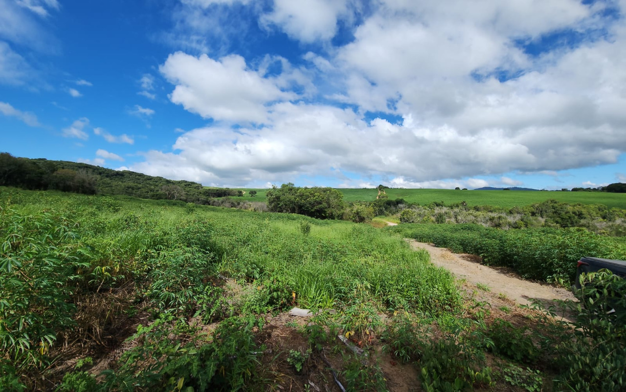 Chácara à venda com 1 quarto, 560000m² - Foto 14