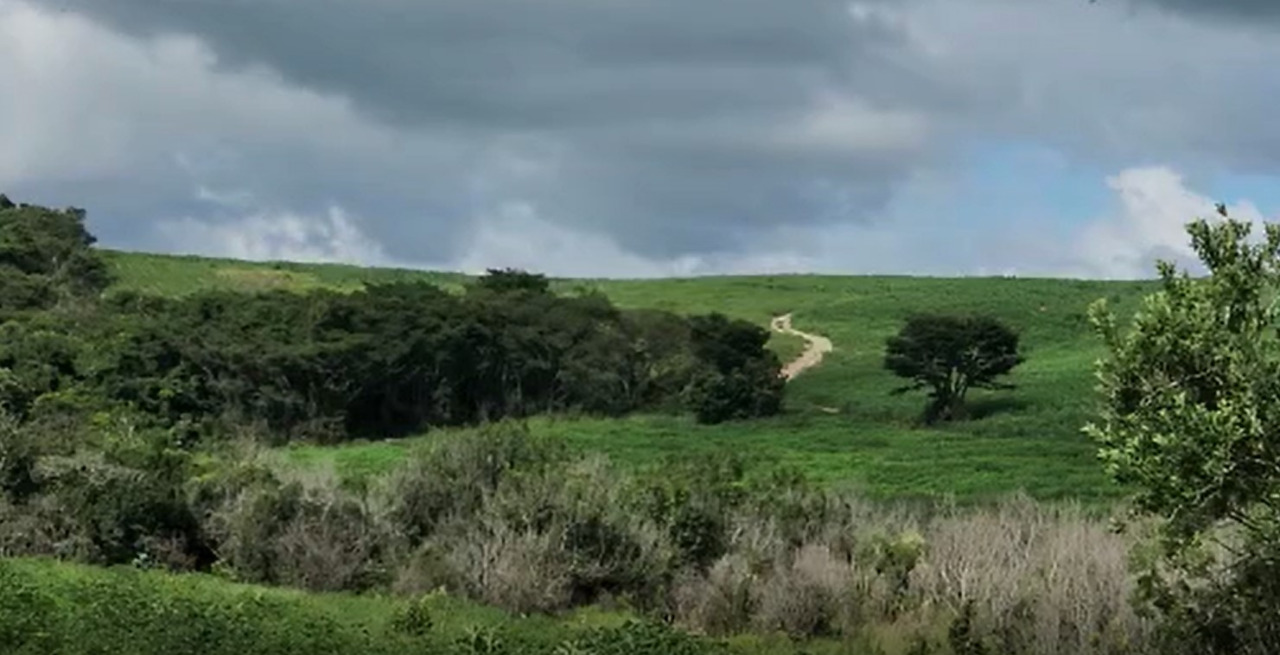 Chácara à venda com 1 quarto, 560000m² - Foto 2