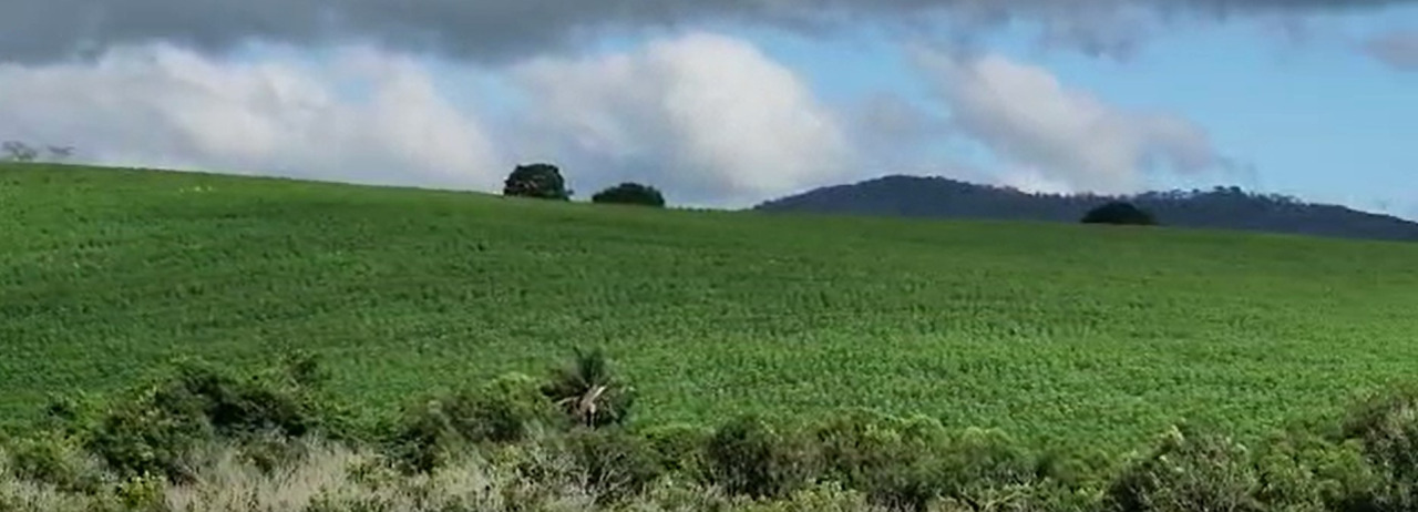 Chácara à venda com 1 quarto, 560000m² - Foto 1