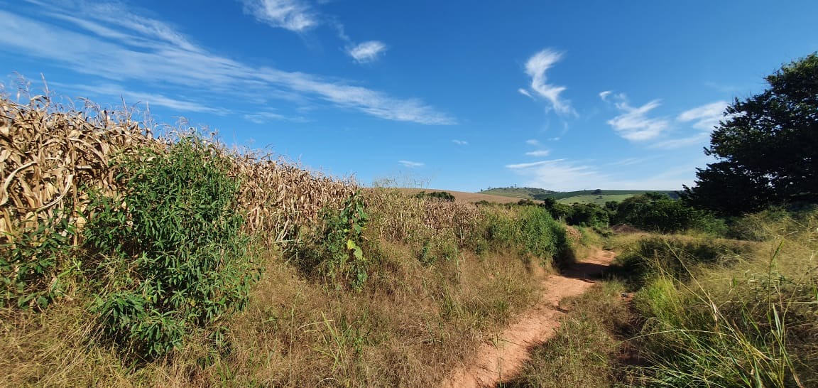 Terreno à venda, 180000m² - Foto 3