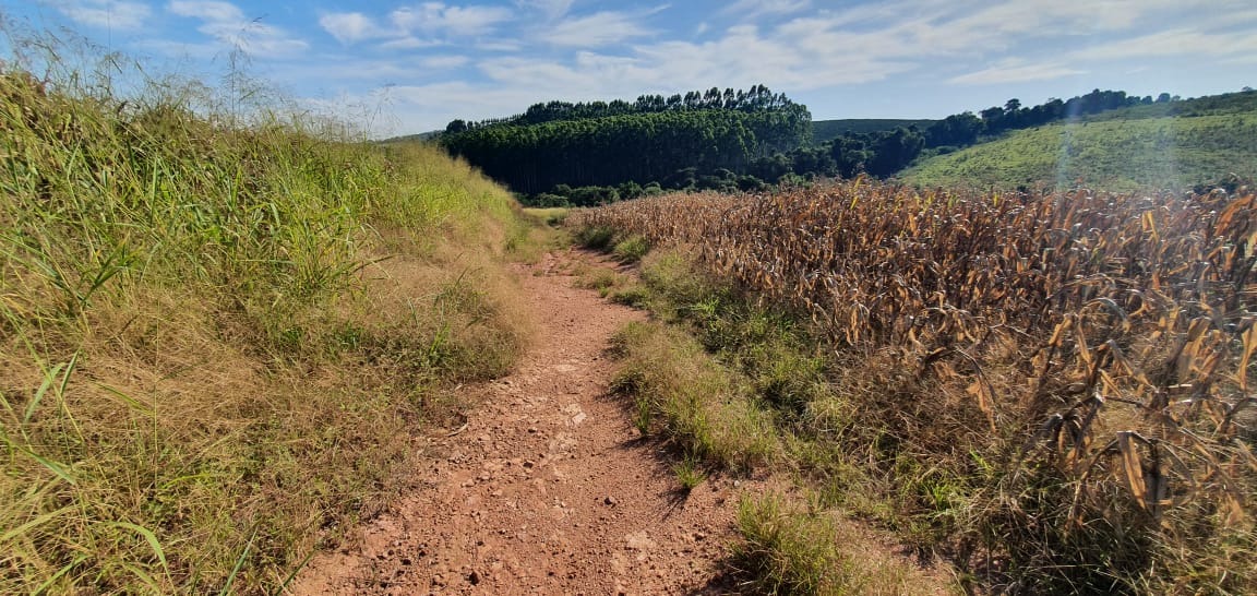 Terreno à venda, 180000m² - Foto 6