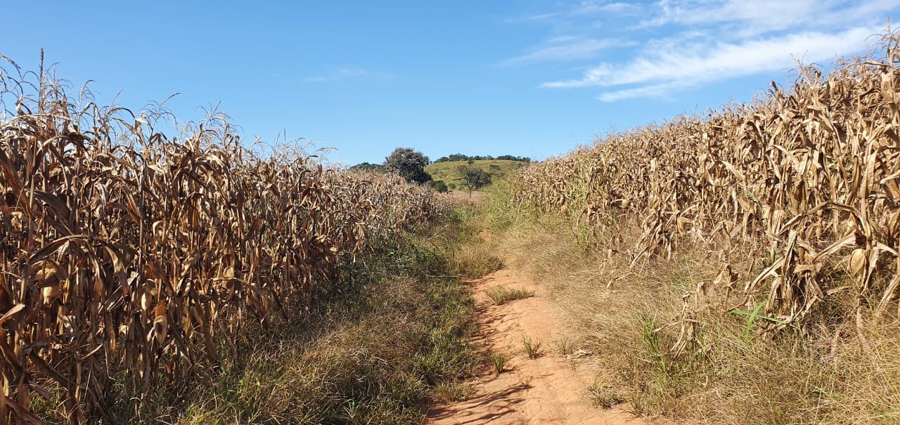 Terreno à venda, 180000m² - Foto 7