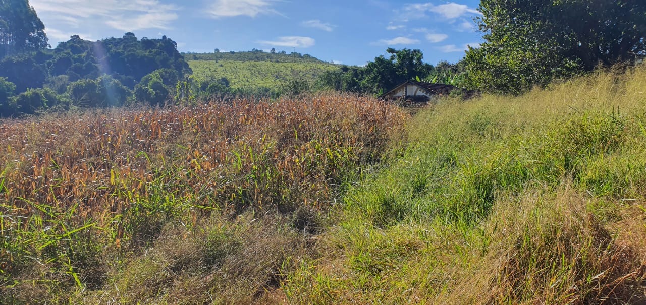 Terreno à venda, 180000m² - Foto 8