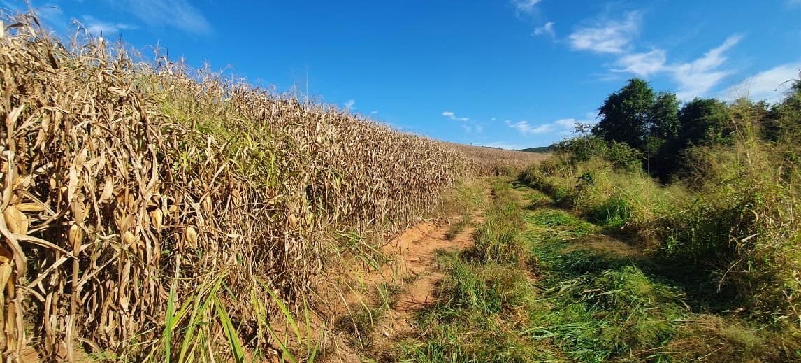 Terreno à venda, 180000m² - Foto 9