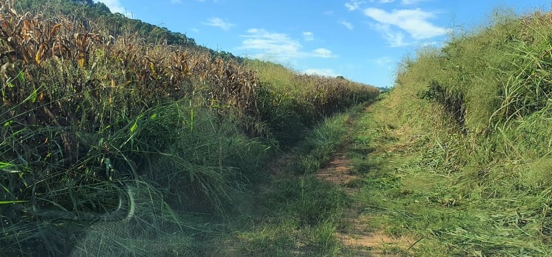 Terreno à venda, 180000m² - Foto 10