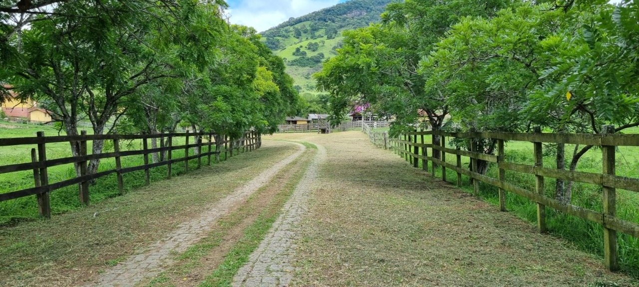 Chácara à venda com 4 quartos, 2636000m² - Foto 2