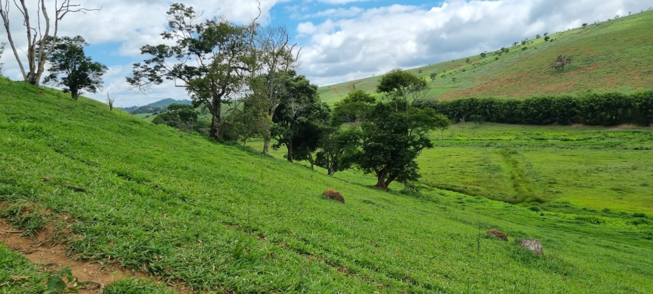 Chácara à venda com 4 quartos, 2636000m² - Foto 3