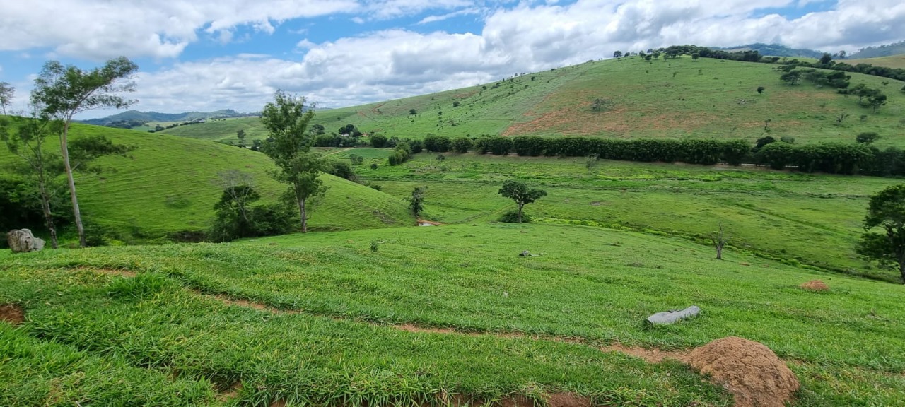 Chácara à venda com 4 quartos, 2636000m² - Foto 5