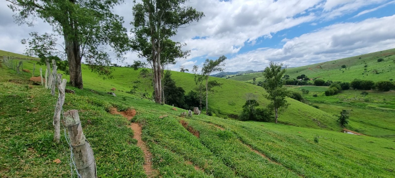 Chácara à venda com 4 quartos, 2636000m² - Foto 6