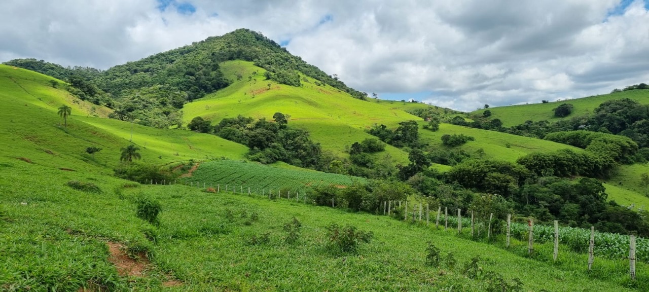 Chácara à venda com 4 quartos, 2636000m² - Foto 7