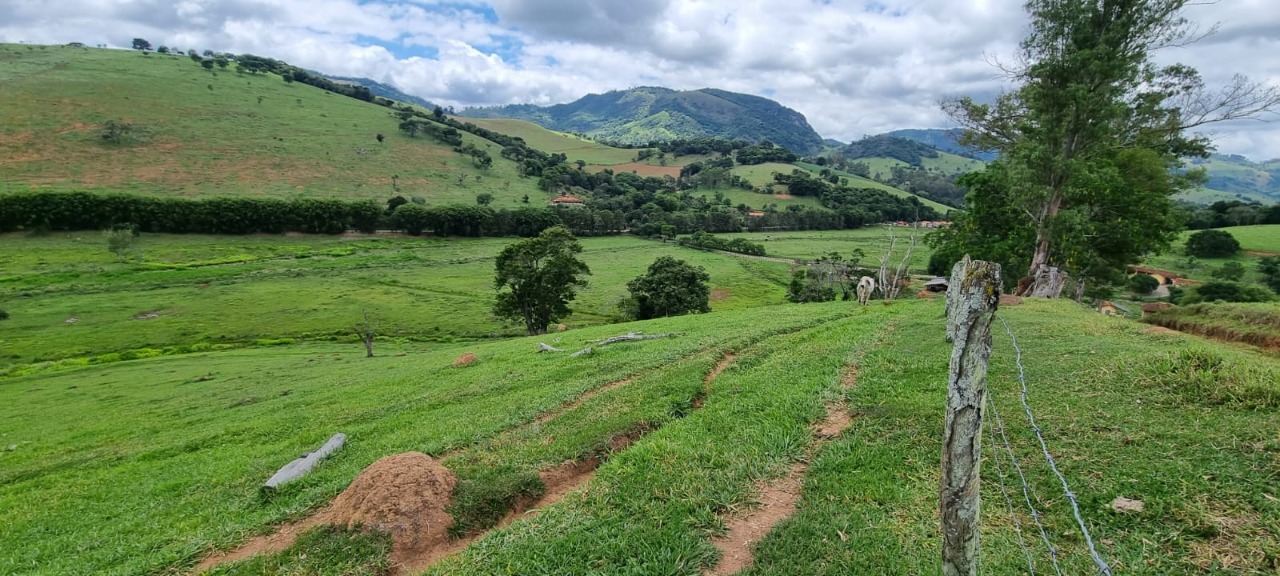 Chácara à venda com 4 quartos, 2636000m² - Foto 9