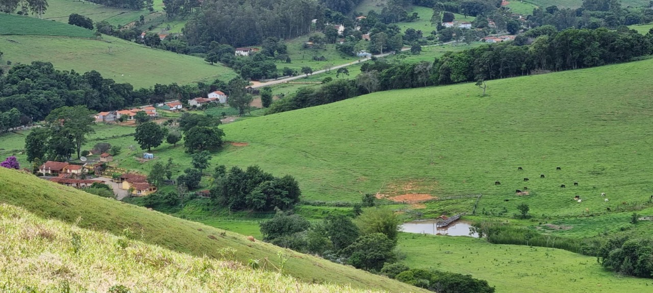 Chácara à venda com 4 quartos, 2636000m² - Foto 1