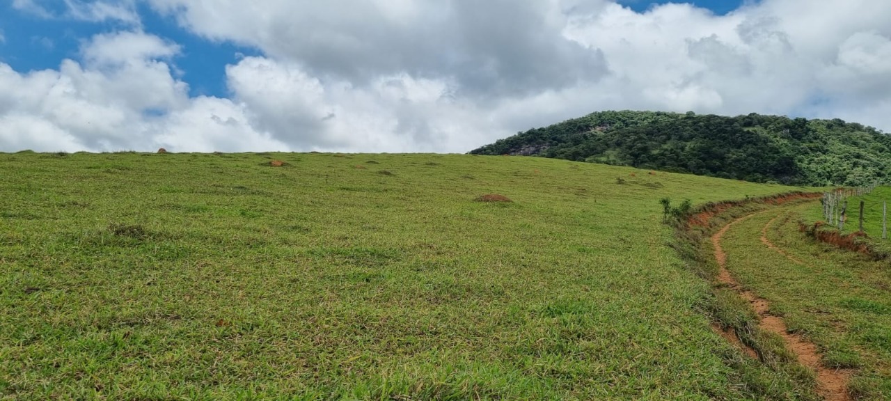 Chácara à venda com 4 quartos, 2636000m² - Foto 10