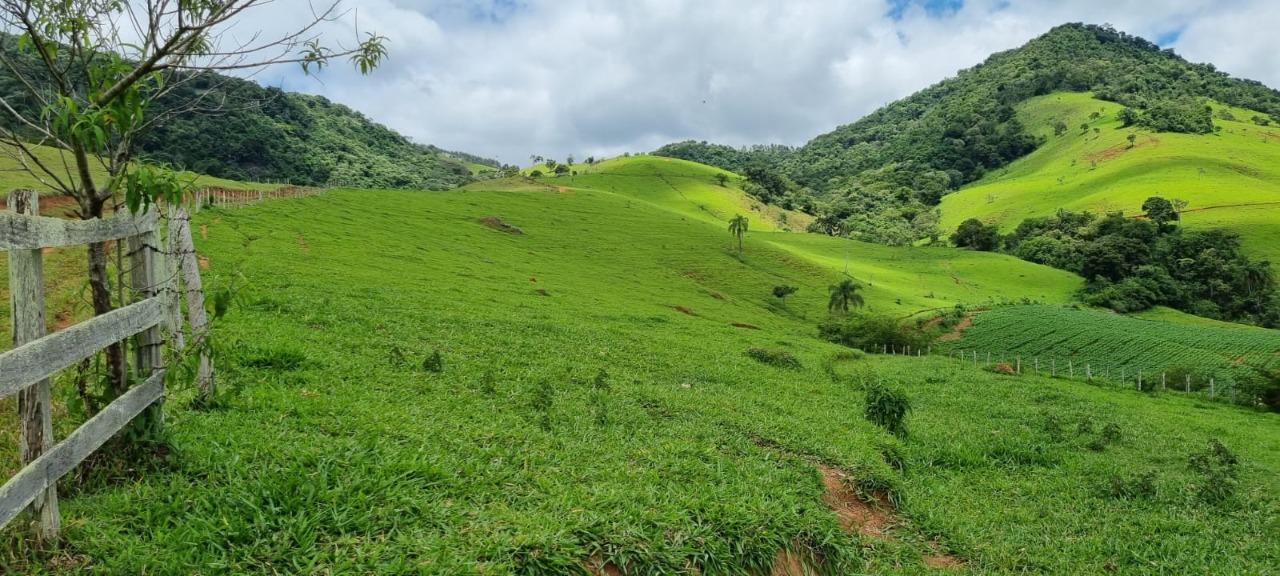 Chácara à venda com 4 quartos, 2636000m² - Foto 12