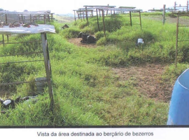 Chácara à venda com 3 quartos, 1005000m² - Foto 23