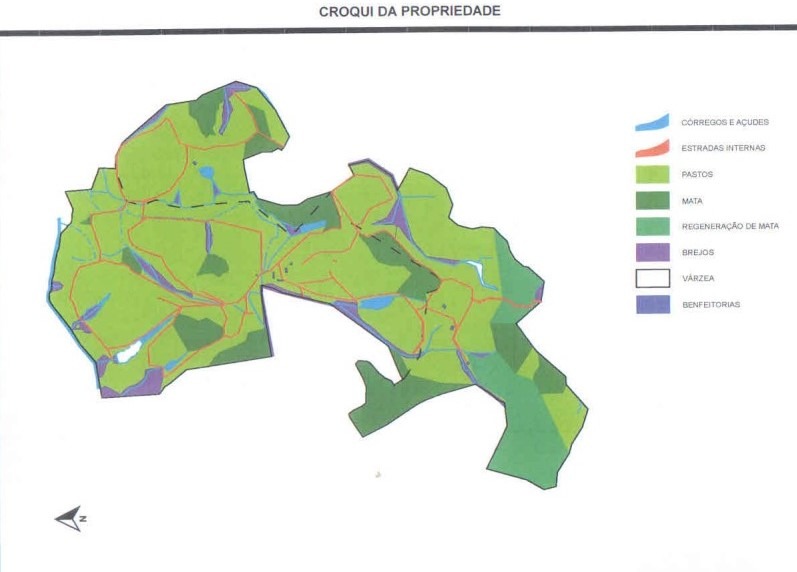 Chácara à venda com 3 quartos, 1005000m² - Foto 25