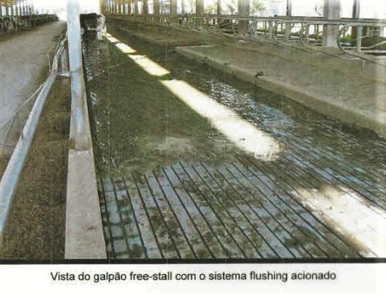 Chácara à venda com 3 quartos, 1005000m² - Foto 13