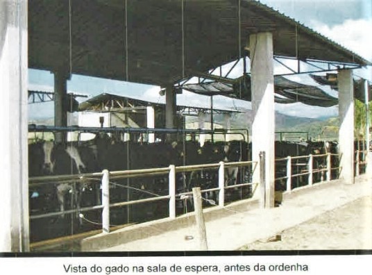 Chácara à venda com 3 quartos, 1005000m² - Foto 8