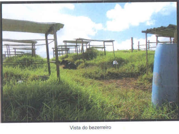 Chácara à venda com 3 quartos, 1005000m² - Foto 22