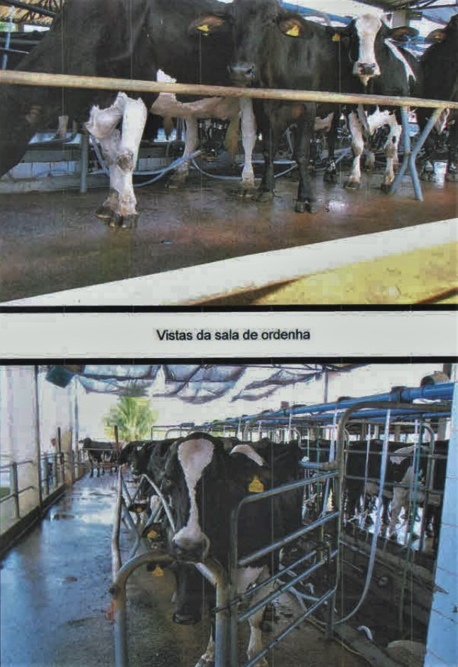 Chácara à venda com 3 quartos, 1005000m² - Foto 11