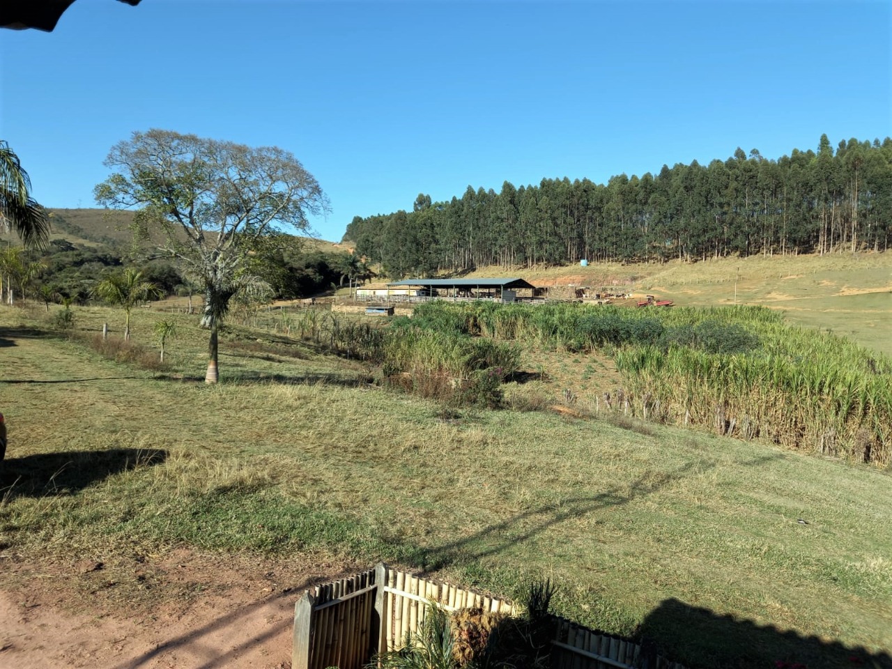 Chácara, 3 quartos, 235 hectares - Foto 4