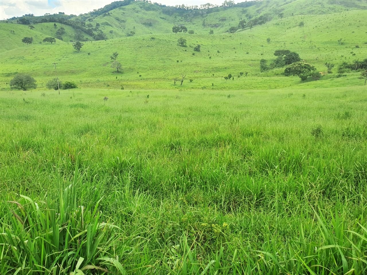 Chácara à venda com 3 quartos, 2350000m² - Foto 9