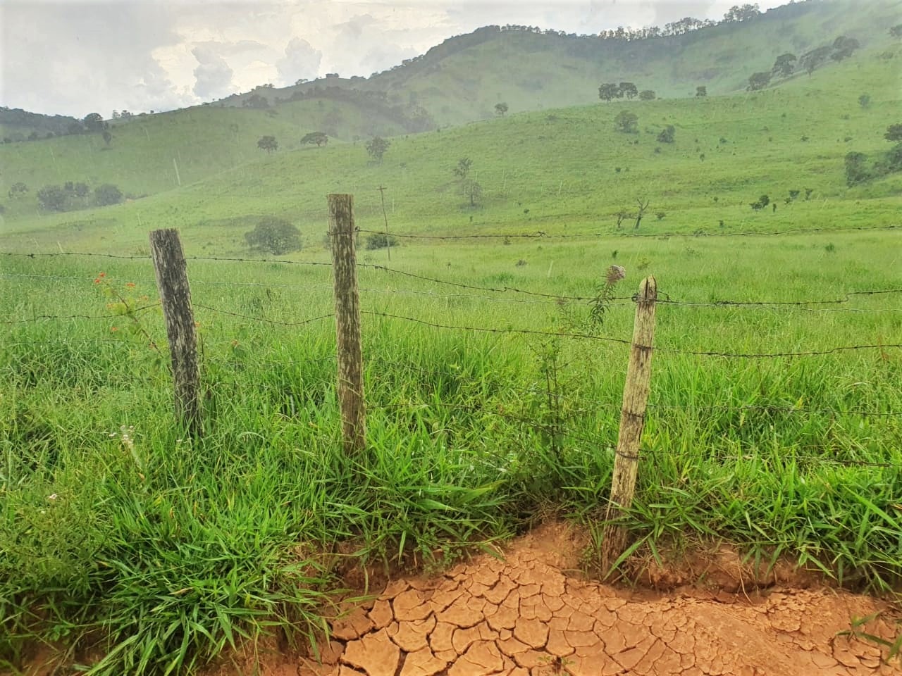 Chácara à venda com 3 quartos, 2350000m² - Foto 3