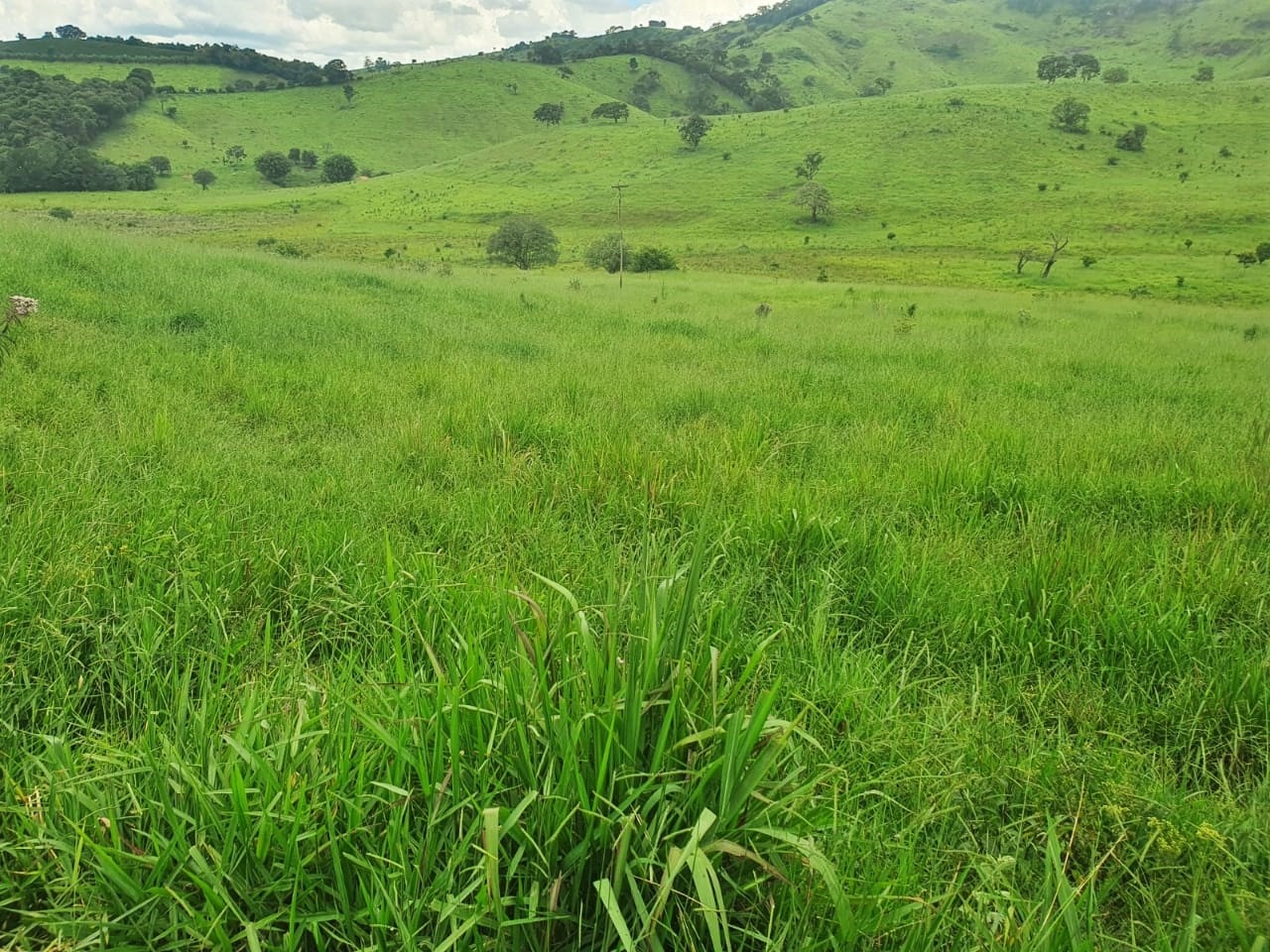 Chácara à venda com 3 quartos, 2350000m² - Foto 10