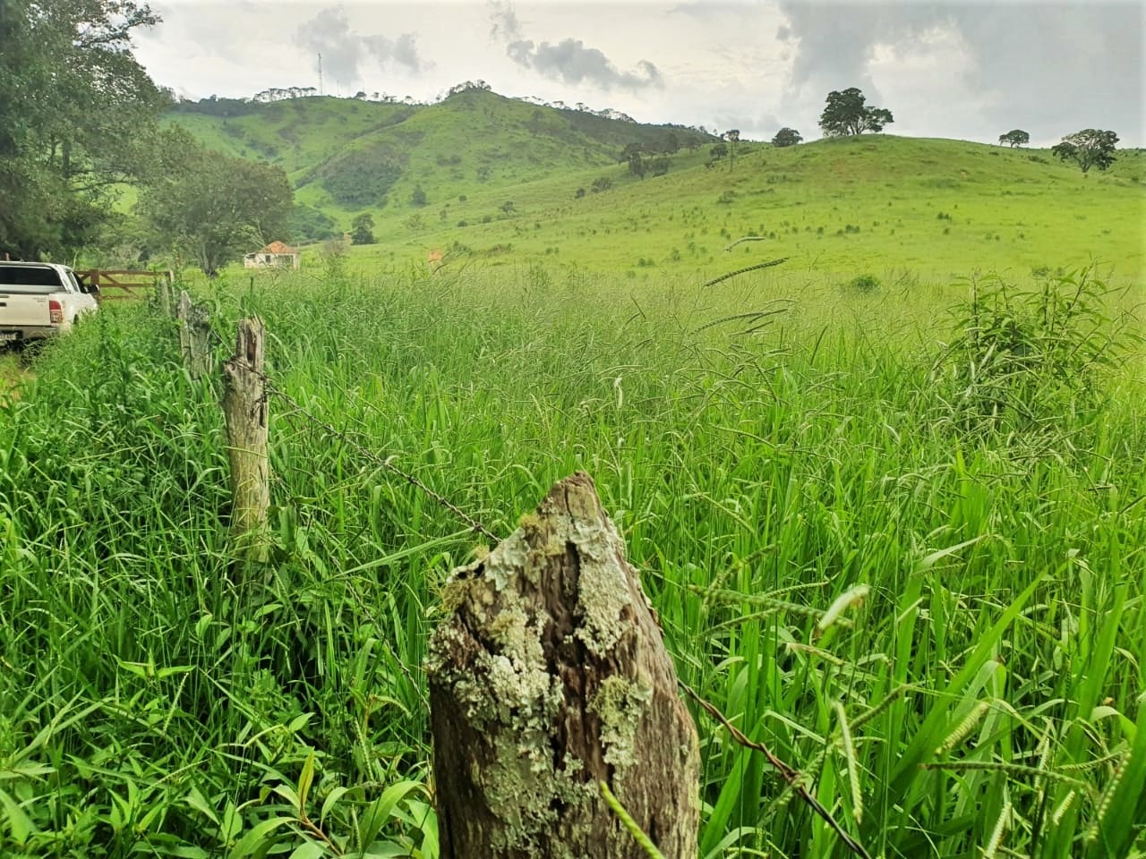 Chácara à venda com 3 quartos, 2350000m² - Foto 12