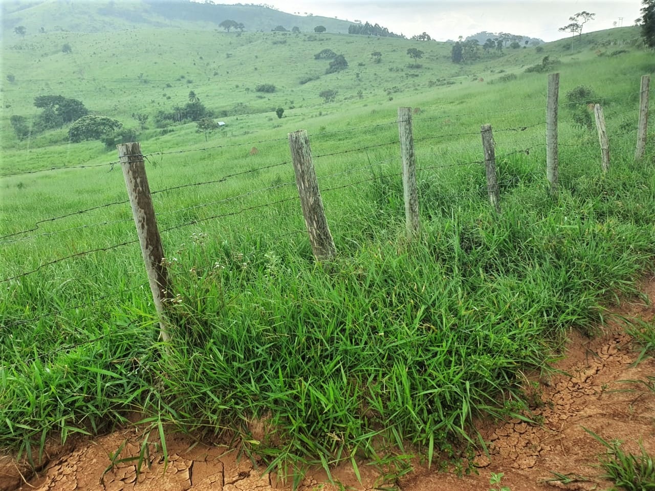 Chácara à venda com 3 quartos, 2350000m² - Foto 6