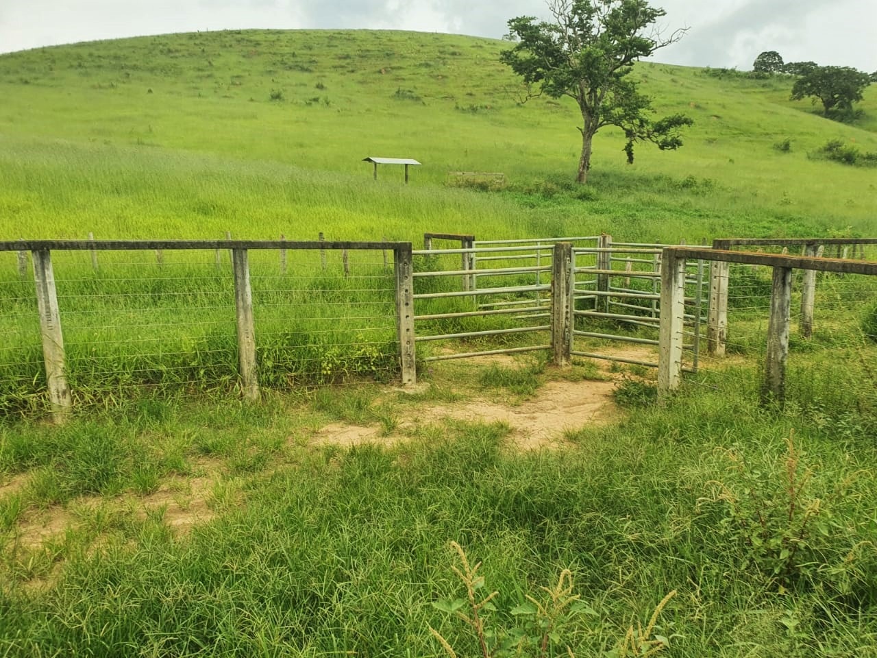 Chácara à venda com 3 quartos, 2350000m² - Foto 13