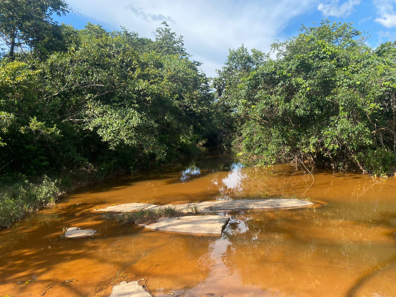 Chácara à venda com 4 quartos, 8930000m² - Foto 23