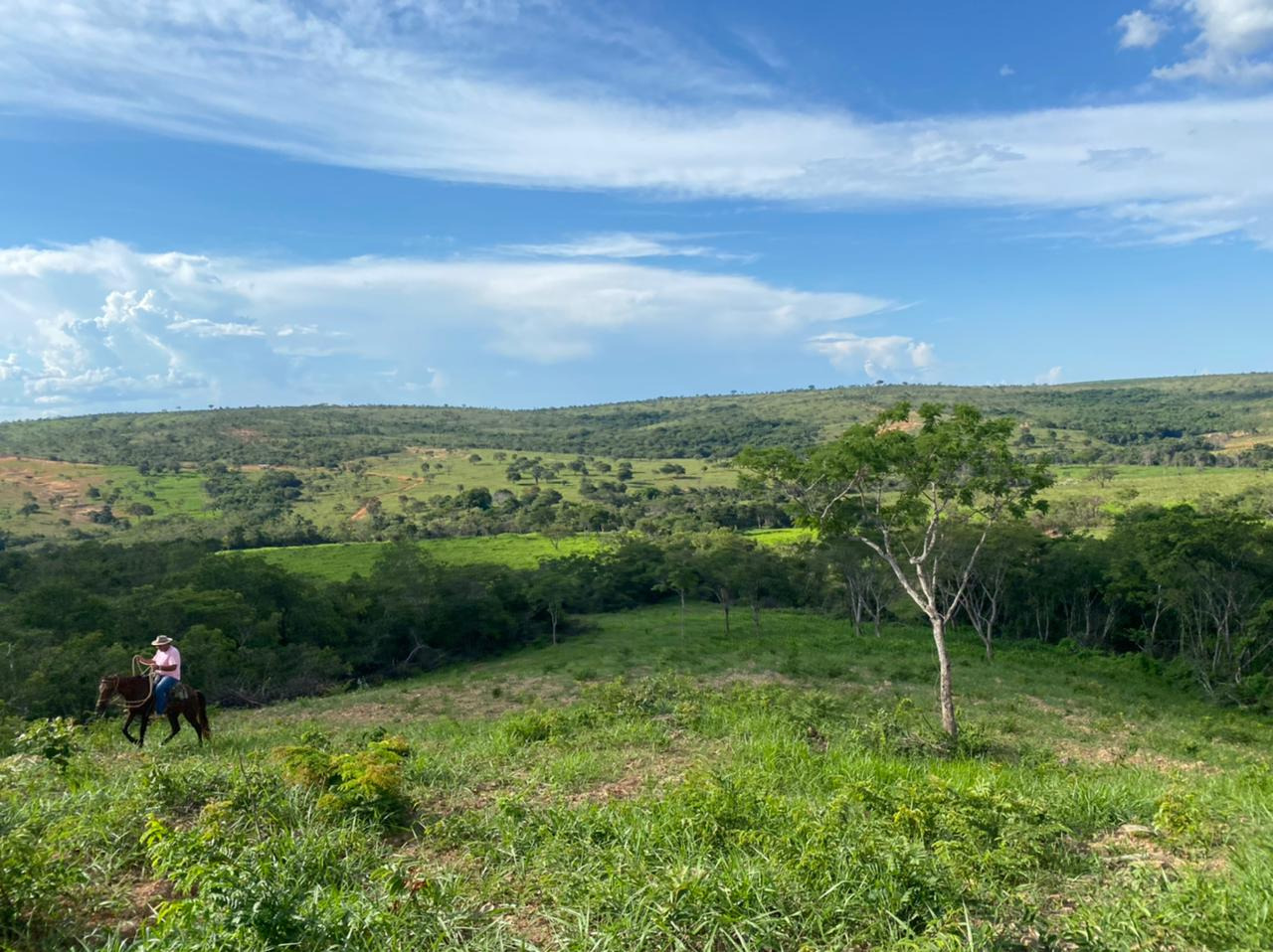 Chácara à venda com 4 quartos, 8930000m² - Foto 1