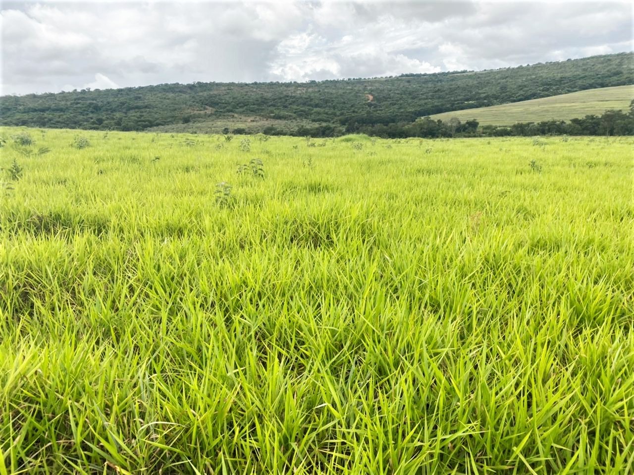 Chácara à venda com 4 quartos, 8930000m² - Foto 2