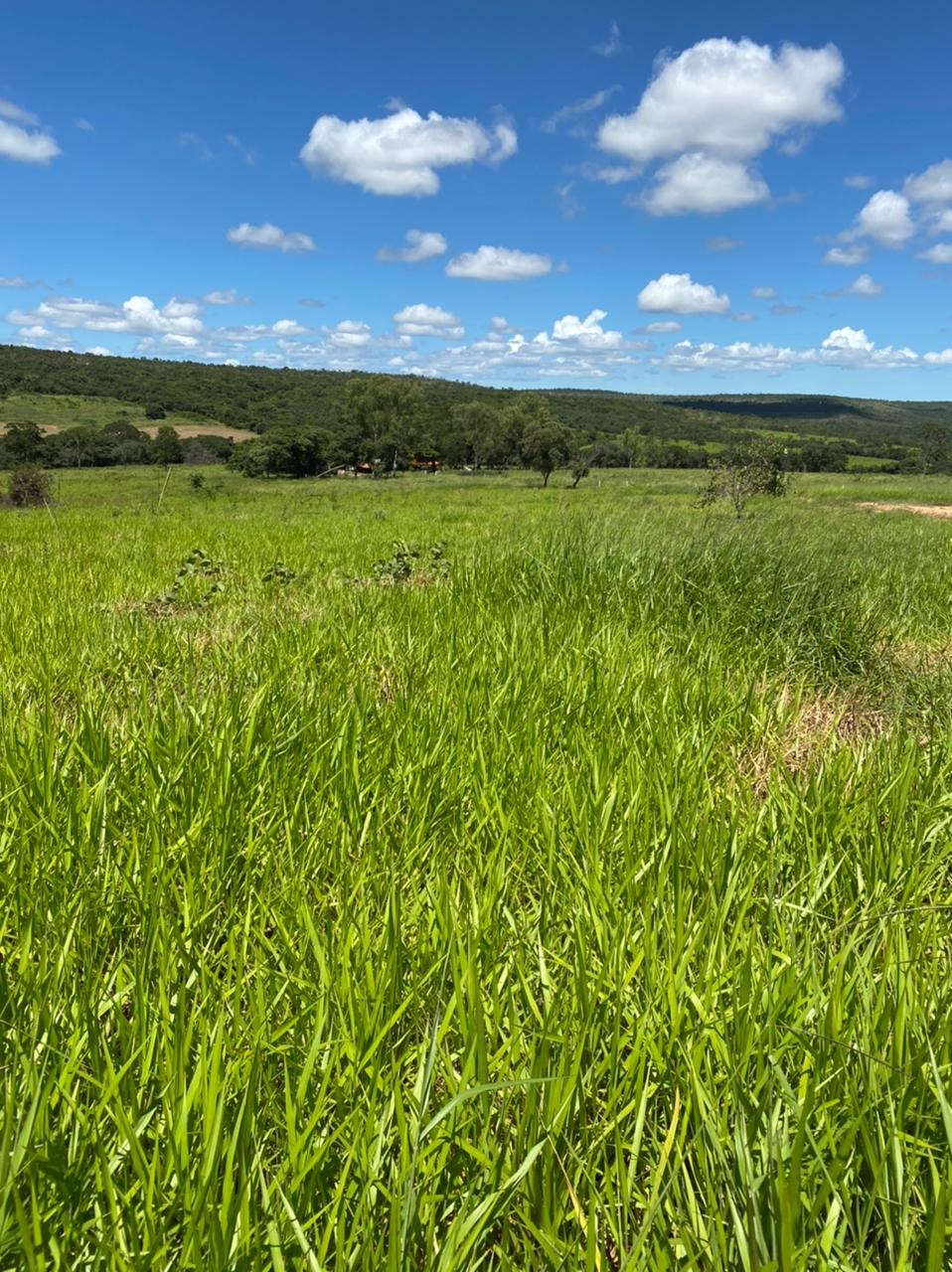 Chácara à venda com 4 quartos, 8930000m² - Foto 7