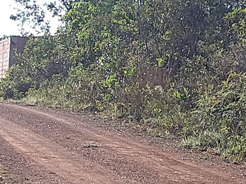 Terreno à venda, 300m² - Foto 3