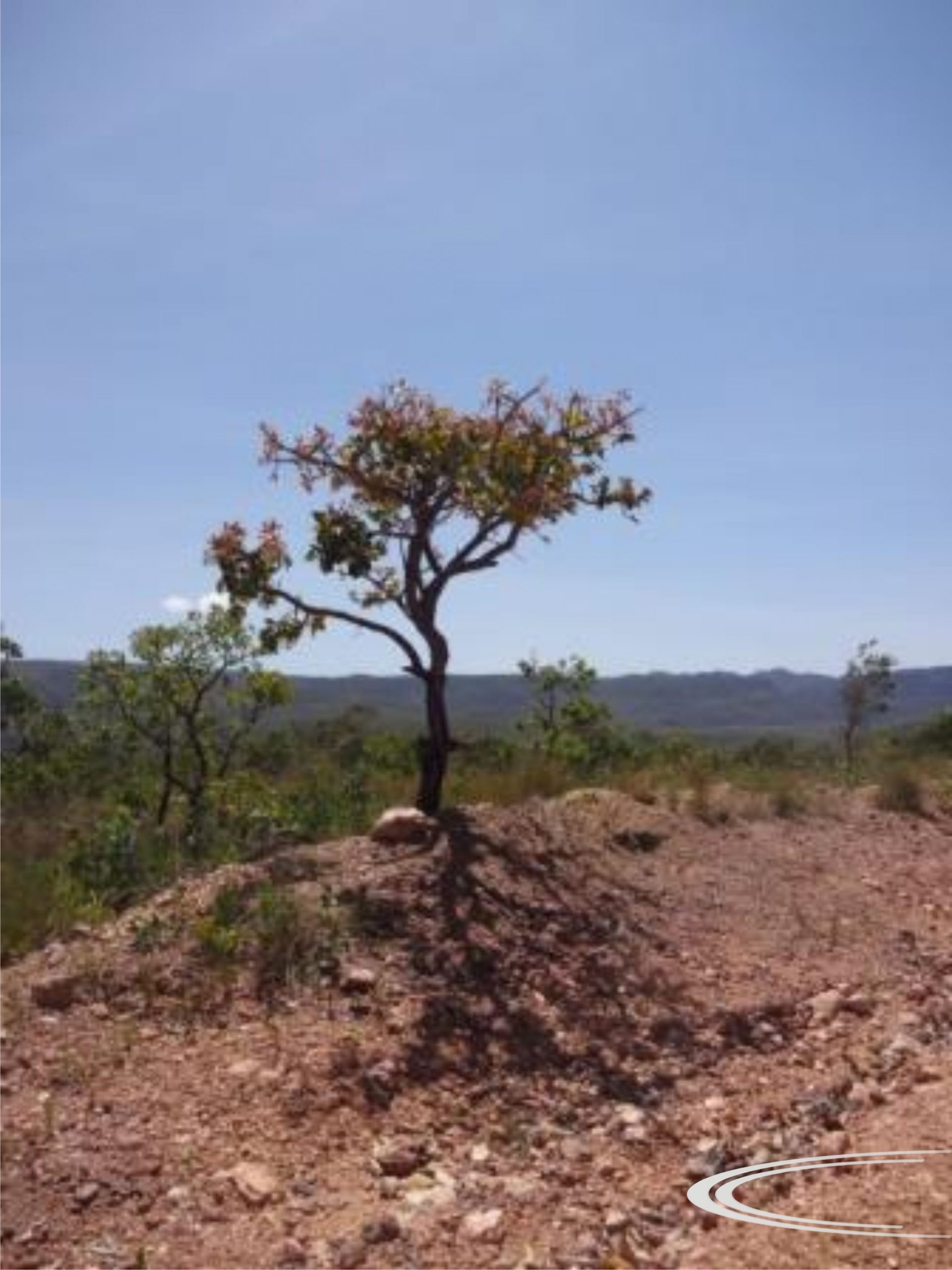 Chácara à venda com 1 quarto, 20000m² - Foto 13