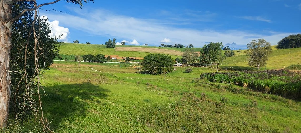 Chácara à venda com 3 quartos, 411400m² - Foto 4