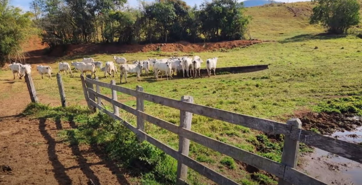 Chácara à venda com 3 quartos, 411400m² - Foto 15