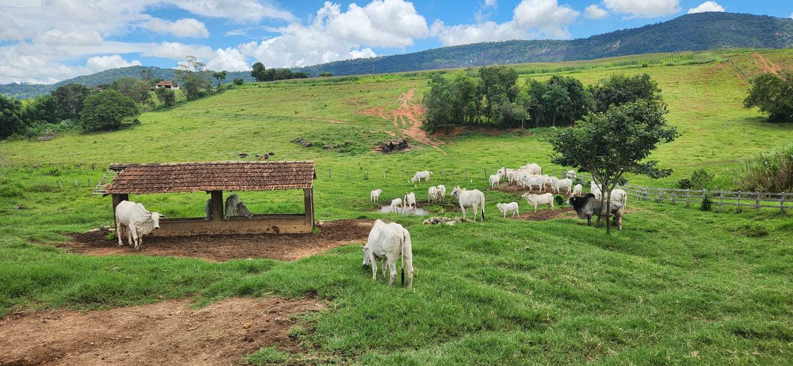 Chácara à venda com 3 quartos, 411400m² - Foto 22