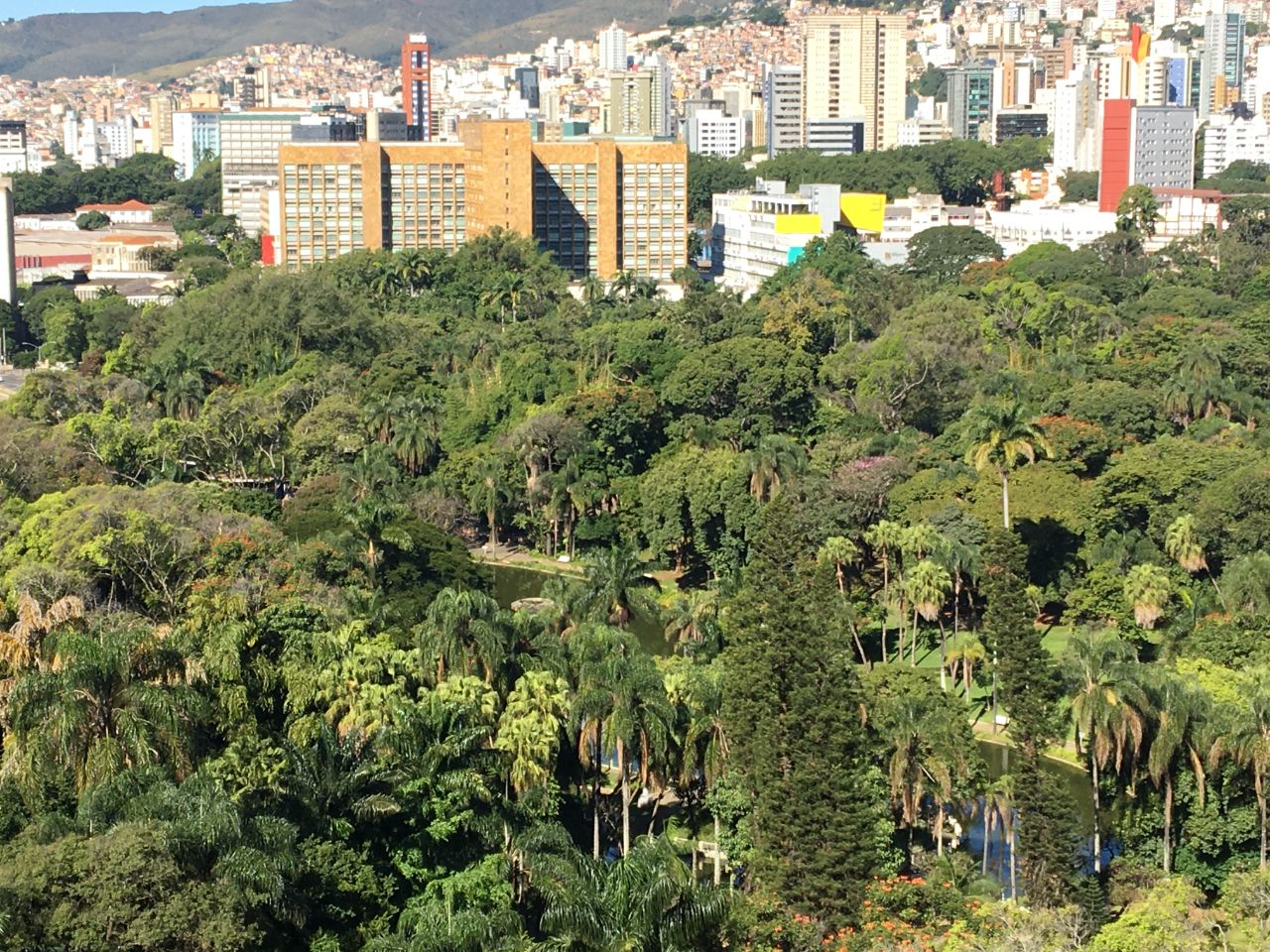 Loja-Salão para alugar com 1 quarto, 300m² - Foto 3