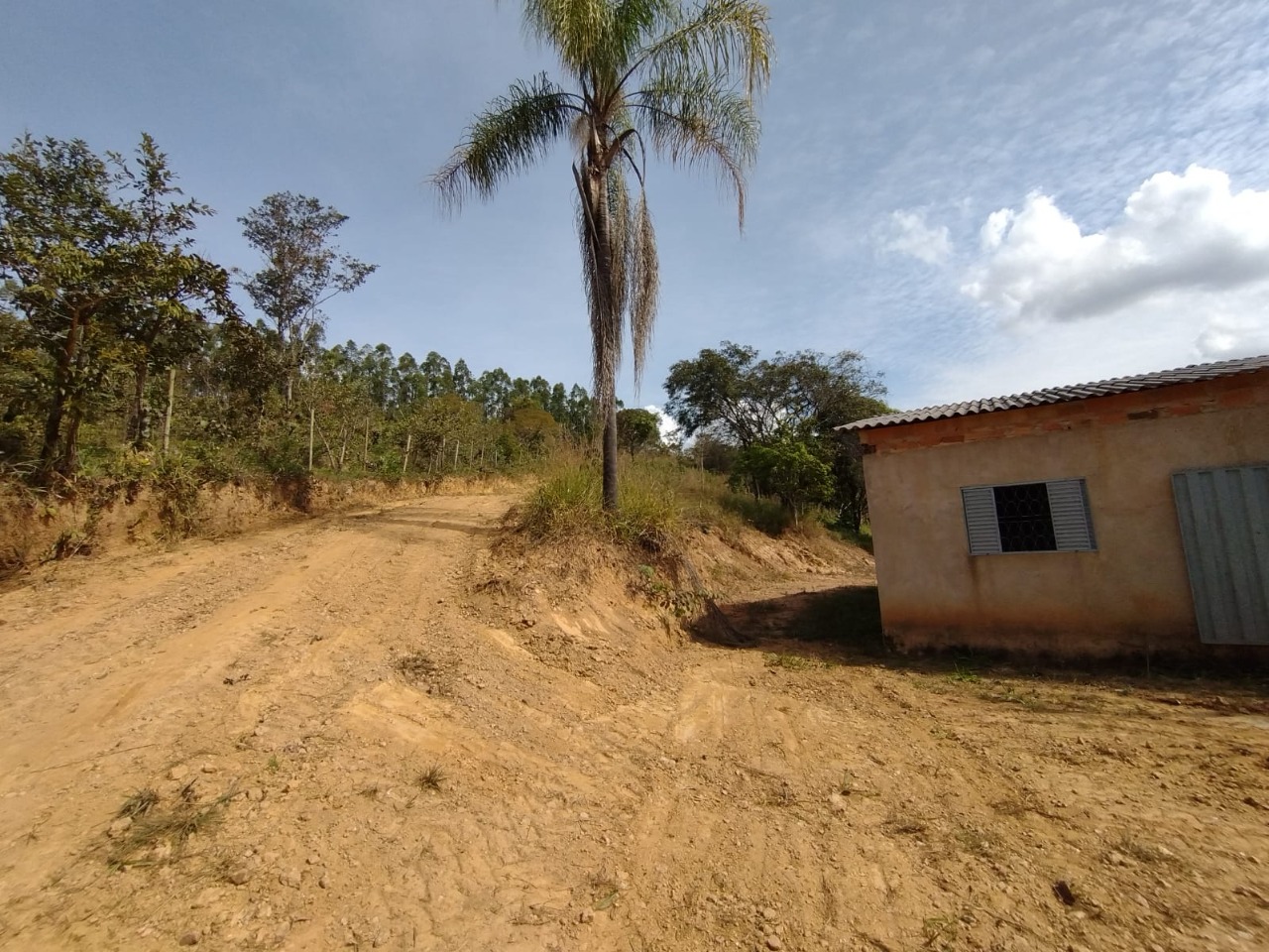 Chácara à venda com 2 quartos, 20000m² - Foto 1