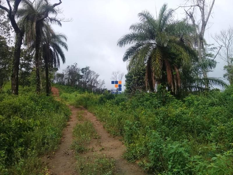 Terreno à venda, 100000m² - Foto 14