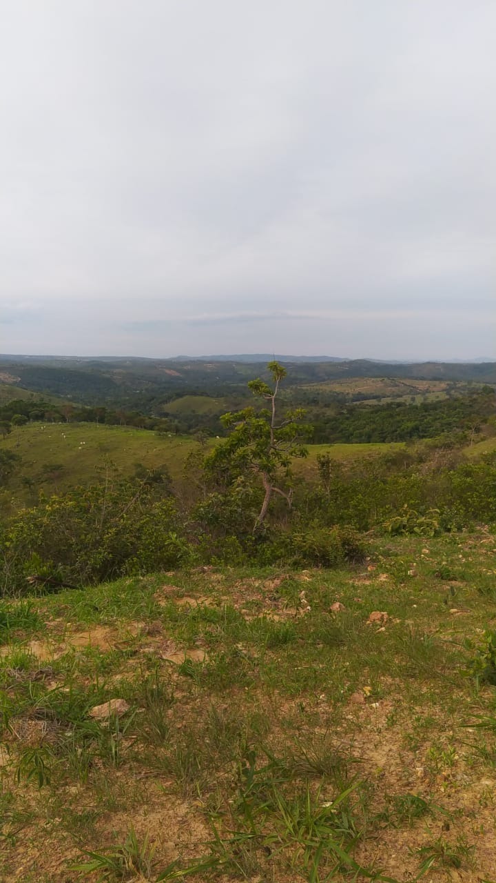 Terreno à venda, 20000m² - Foto 7