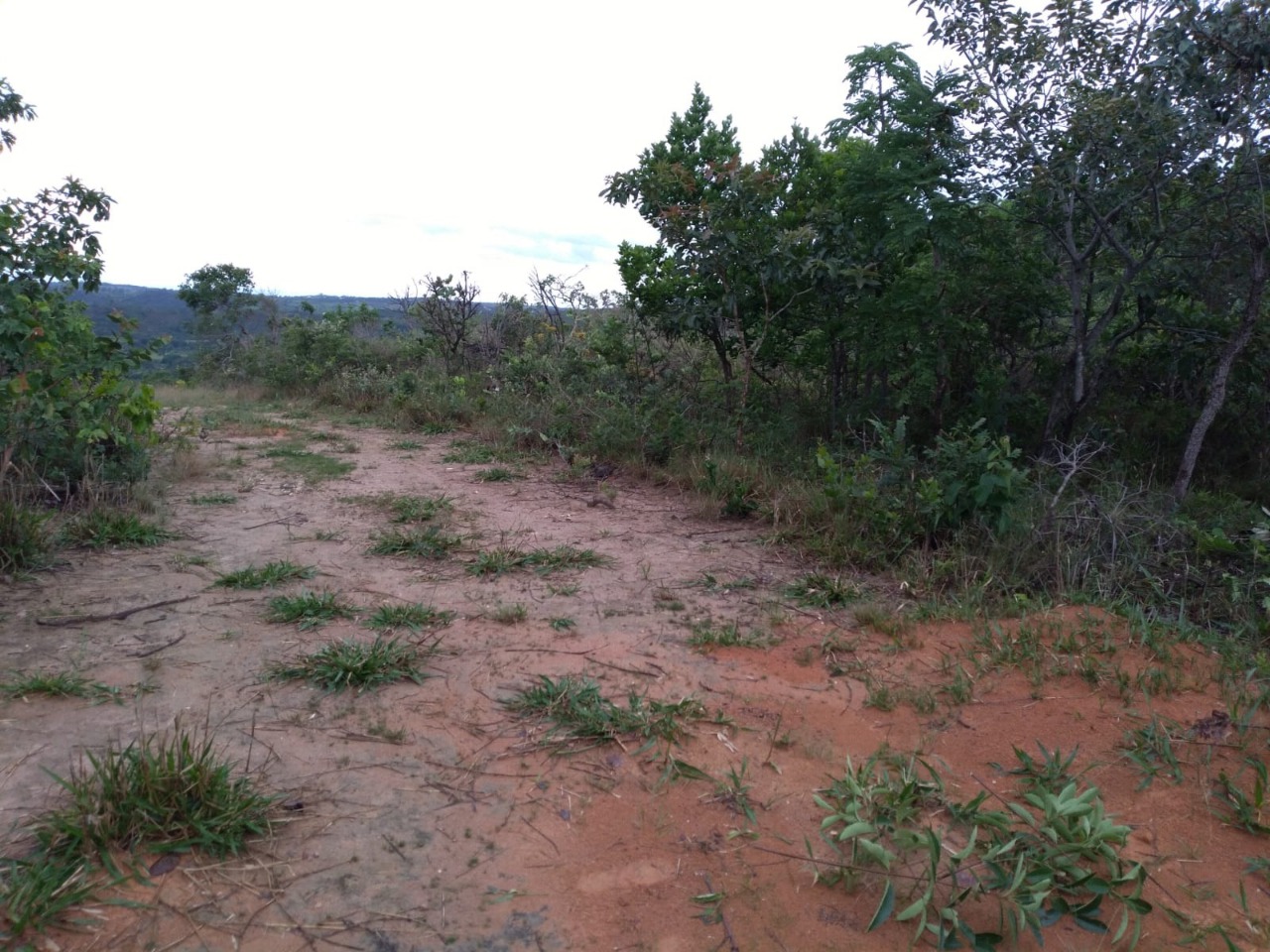 Terreno à venda, 5000m² - Foto 7